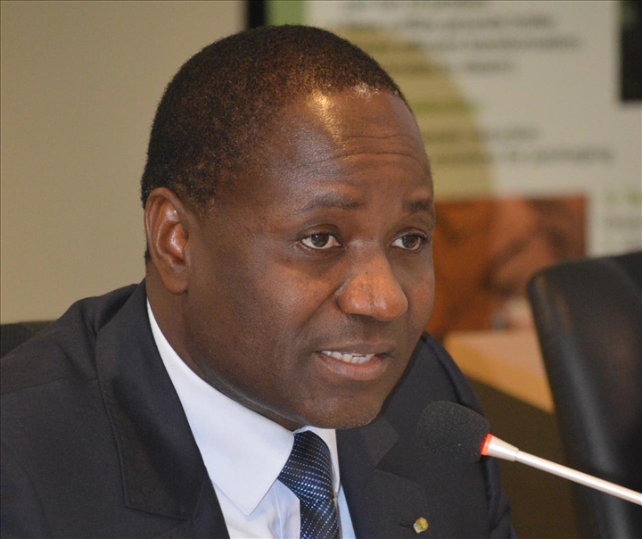 Agriculture / Réforme des filières coton et anacarde	: le projet de  loi adopté